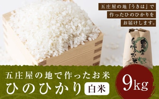 【特Aランク米】五庄屋の地で作ったお米 ひのひかり 白米 (9kg)