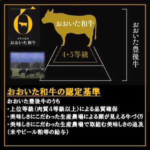 おおいた和牛入り「肉は別腹」ハンバーグ 【おおいた和牛 肉は別腹 ハンバーグ はんばーぐ 肉 牛肉 ソース付き 惣菜 チルド 内閣総理大臣賞 厳選 贅沢 ご褒美 オリジナル 黄金比率 手ごね 急速冷凍