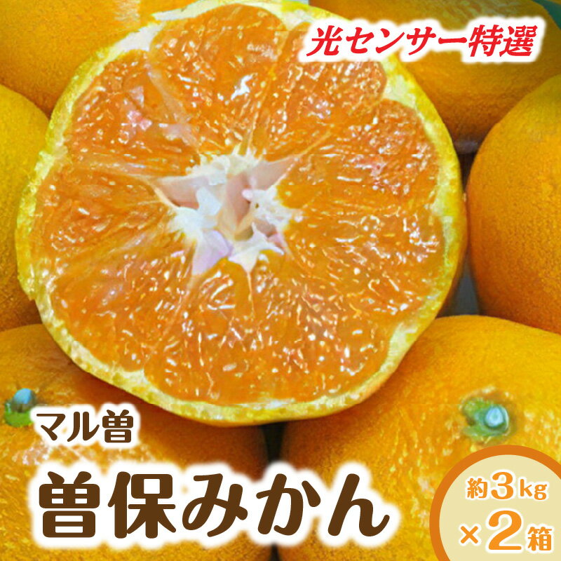 【ふるさと納税】 フルーツ みかん 曽保みかん 光センサー選別 約 3kg ×2箱 L〜Sサイズ 先行予約 [ 果物 柑橘 ジューシー 甘い 旬 新鮮 直送 産地直送 予約販売 人気 ギフト お歳暮 贈答用 家庭用 10,000円 台 送料無料 香川県 三豊市 返礼品 五色青果 ]