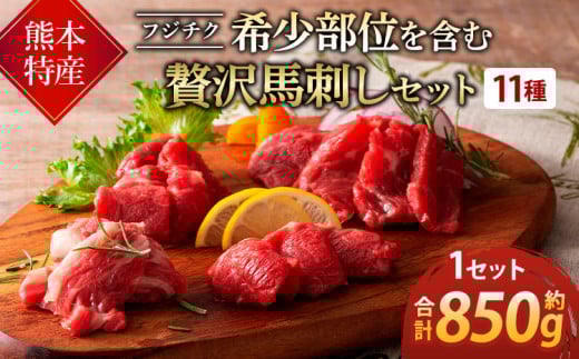 馬刺し 熊本 希少部位含む 贅沢 11種盛 計約850g 【 熊本特産！フジチク 希少部位を含む贅沢馬刺しセット】