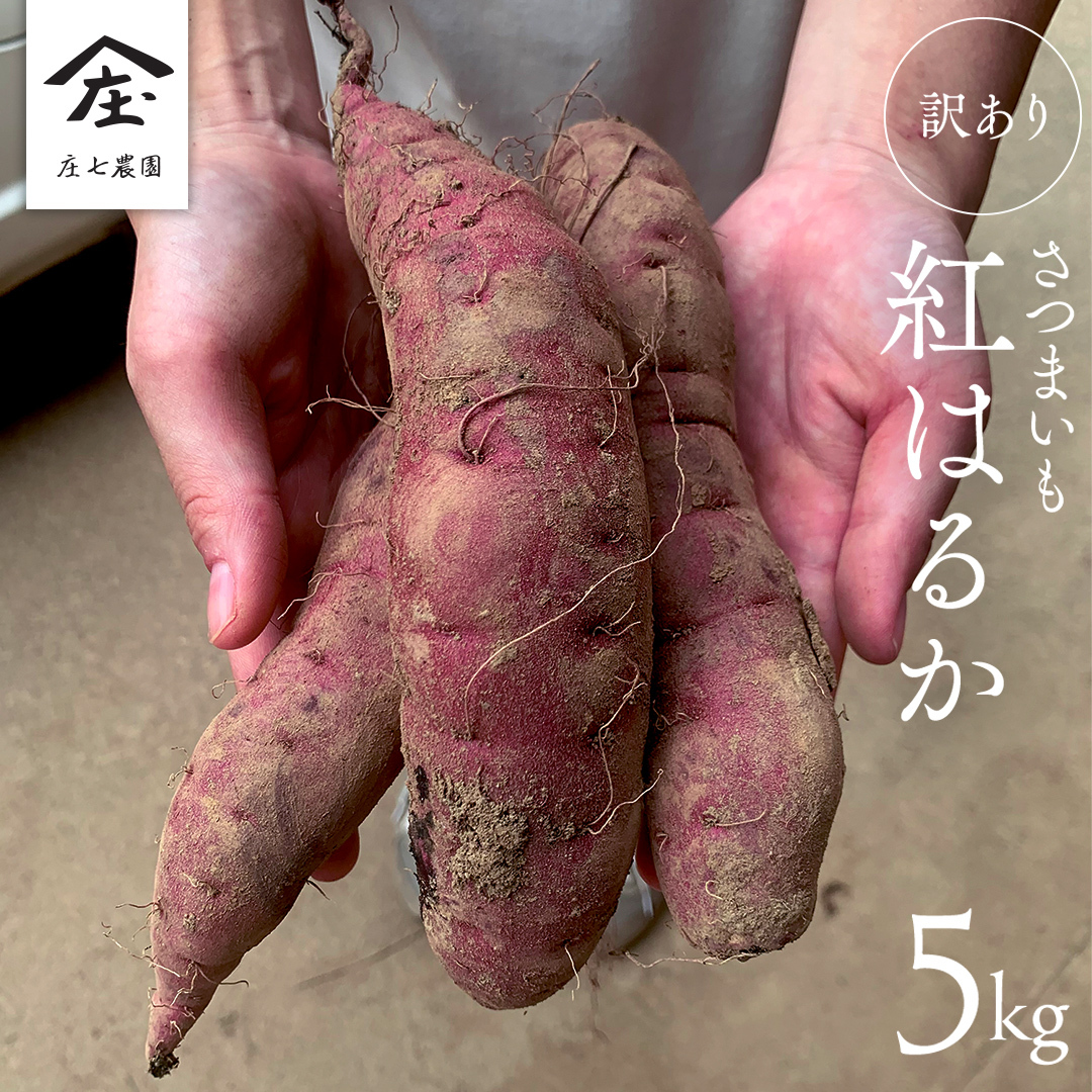 【 先行予約 】【 9月中旬 発送開始 】【 訳あり 】 さつまいも ！ 紅はるか 5kg サツマイモ 芋 いも べにはるか 茨城 美味しい おいしい ワケアリ 訳アリ [BK09-NT]_イメージ1