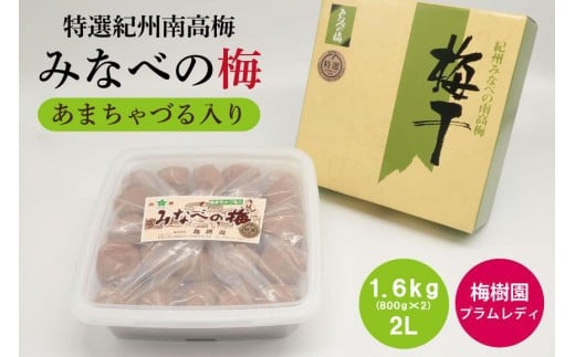 
            【特選】みなべの梅(あまちゃづる) 1.6kg 2L（800g×2個） baijuen012A
          
