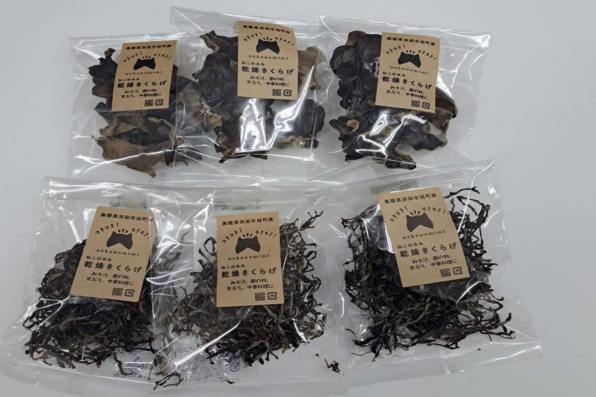 
            浜田市旭町産ねこのみみ乾燥キクラゲセット 野菜 きのこ キクラゲ 木耳 国産 乾燥  【157_0001】
          