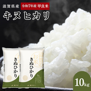 キヌヒカリ 白米 10kg 令和7年産 甲良米 キヌヒカリ