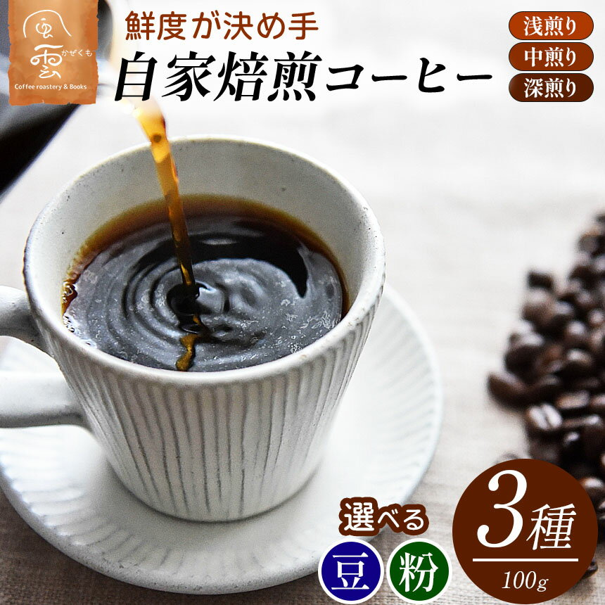 【ふるさと納税】【選べる内容量】鮮度が決め手　自家焙煎コーヒー　粉or豆｜コーヒー コーヒー豆 粉 珈琲 ドリップ オーダーメイド 伊那市 長野 ふるさと納税