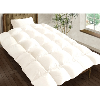 
            抗菌防臭・防ダニ加工されたスーピマ生地の羽毛掛ふとん『E6060』クイーンサイズ【1142312】
          