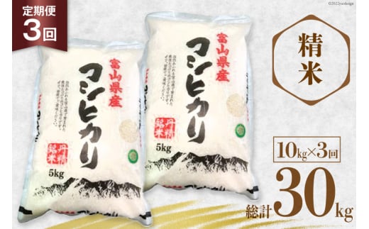 3回 定期便 お米 コシヒカリ 精米 10kg×3回 総計30㎏ [サンライス青木 富山県 朝日町 34310557] 米 ごはん 白米 こしひかり 富山県産 30キロ