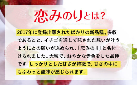 宇城市産いちご 「さちのか」「恋みのり」詰め合わせ 各約250g×2パック 計4パック 【わたなべいちご園】