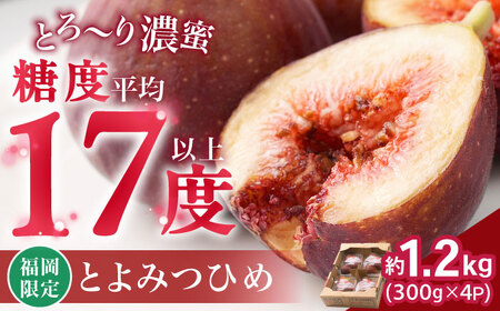 【2025年8月上旬より順次発送】福岡産ブランドいちじくとよみつひめ約300g×4P[BGAG012]イチジク