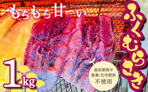 <2026年秋収穫分 先行予約> 栽培期間中、農薬・化学肥料不使用 もちもち甘～い『ふくむらさき』1kg（3～5本） さつまいも サツマイモ F3S-2616