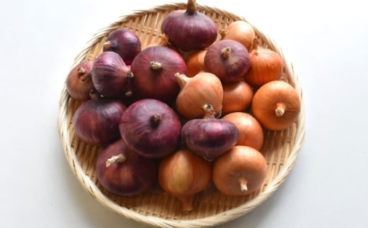 【先行予約：2026年6月頃より順次発送】和らぎ農法 玉ねぎ便 2.5kg （栽培期間中、農薬・化学肥料・動物性堆肥不使用）/ 赤玉ねぎ セット 詰め合わせ 新鮮 野菜 食べ比べ 旬 / 滋賀県 栗東市 / ワダケン リアルソイルハウス [BIBM018]