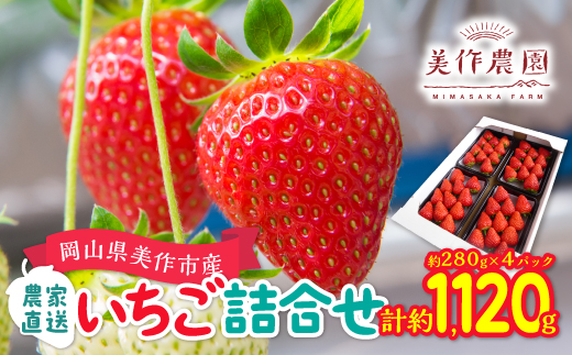 
            岡山県美作市産　いちご詰合せ(約280g×4パック)【1073695】
          