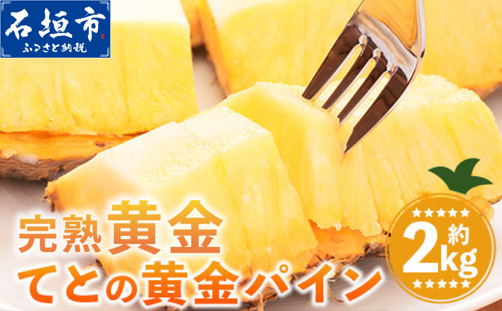 【先行予約】完熟黄金 てとの黄金パイン 大玉 約2kg | 沖縄 石垣 ゴールデン パイン パイナップル 完熟 セット フルーツ デザート オリジナル 大玉：約2kg