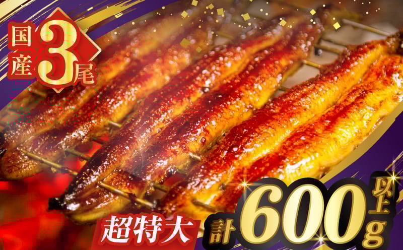
うなぎ蒲焼特大3尾(さんしょう・たれ付き)計600g以上 鰻 魚 魚介 加工品 国産_T026-002
