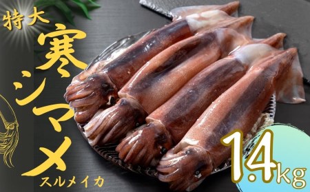 【朝どれスルメイカ丸ごと】朝どれ寒シマメ特大サイズ 丸ごと4杯セット 1.4kg～1.6kg いか イカ スルメイカ CAS CAS冷凍 父の日 母の日 バーベキュー ギフト