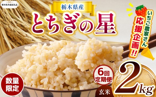 【栃木県共通返礼品】【先行予約】【定期6回】訳あり 令和8年度産 米 数量 限定 栃木県産 とちぎの星 約 2kg | とちぎの星 数量限定 玄米 米 ごはん  玄米密閉パック お米 kome okome ご飯  ふるさと納税 那珂川町 栃木県 送料無料