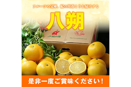 【先行予約】八朔 約10kg(3L-Lサイズ)JAわかやま 紀の里地域本部 《2027年1月上旬-3月末頃出荷》 和歌山県 紀の川市 果物 フルーツ 柑橘 はっさく