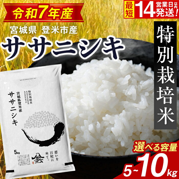 【ふるさと納税】【14営業日以内に発送予定】≪令和7年産≫ 特別栽培米 ササニシキ 5kg〜10kg 選べる容量 登米市産 お米 おこめ 米 コメ ささにしき 白米 ご飯 ごはん おにぎり お弁当 【登米ライスサービス株式会社】tm156・tm157