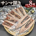 【ふるさと納税】サンマ開き 2尾入り×4パック 計8尾 干物 サンマ 秋刀魚 さんま 焼き魚 矢口商店 魚 海鮮 魚介類 真空パック 冷凍 茨城県 神栖市 送料無料