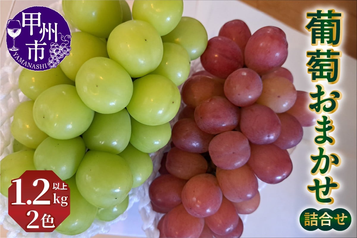 
            葡萄おまかせ2色詰合せ1.2kg以上【2026年発送】（NSF）B-960 【シャインマスカット 葡萄 ぶどう ブドウ 令和8年発送 期間限定 山梨県産 甲州市 フルーツ 果物】
          
