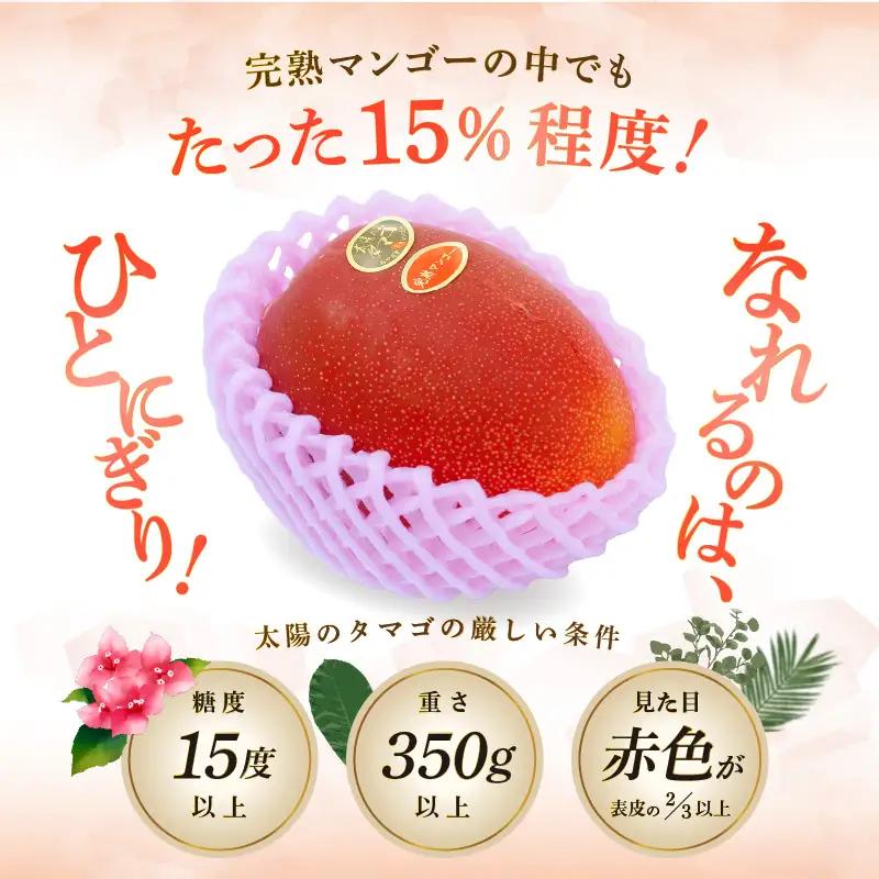 太陽のタマゴ マンゴー 太陽のタマゴ[宮崎 2玉 合計700g以上]