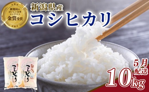 【2026年5月発送】令和7年産 コシヒカリ 10kg 新潟県産 玄米不可 新潟県 新潟米 新発田産 新発田 お米 米 こめ コシヒカリ 新発田ファーム 数量限定 新発田ファーム 新潟 新発田 shibatafarm006_2026_05