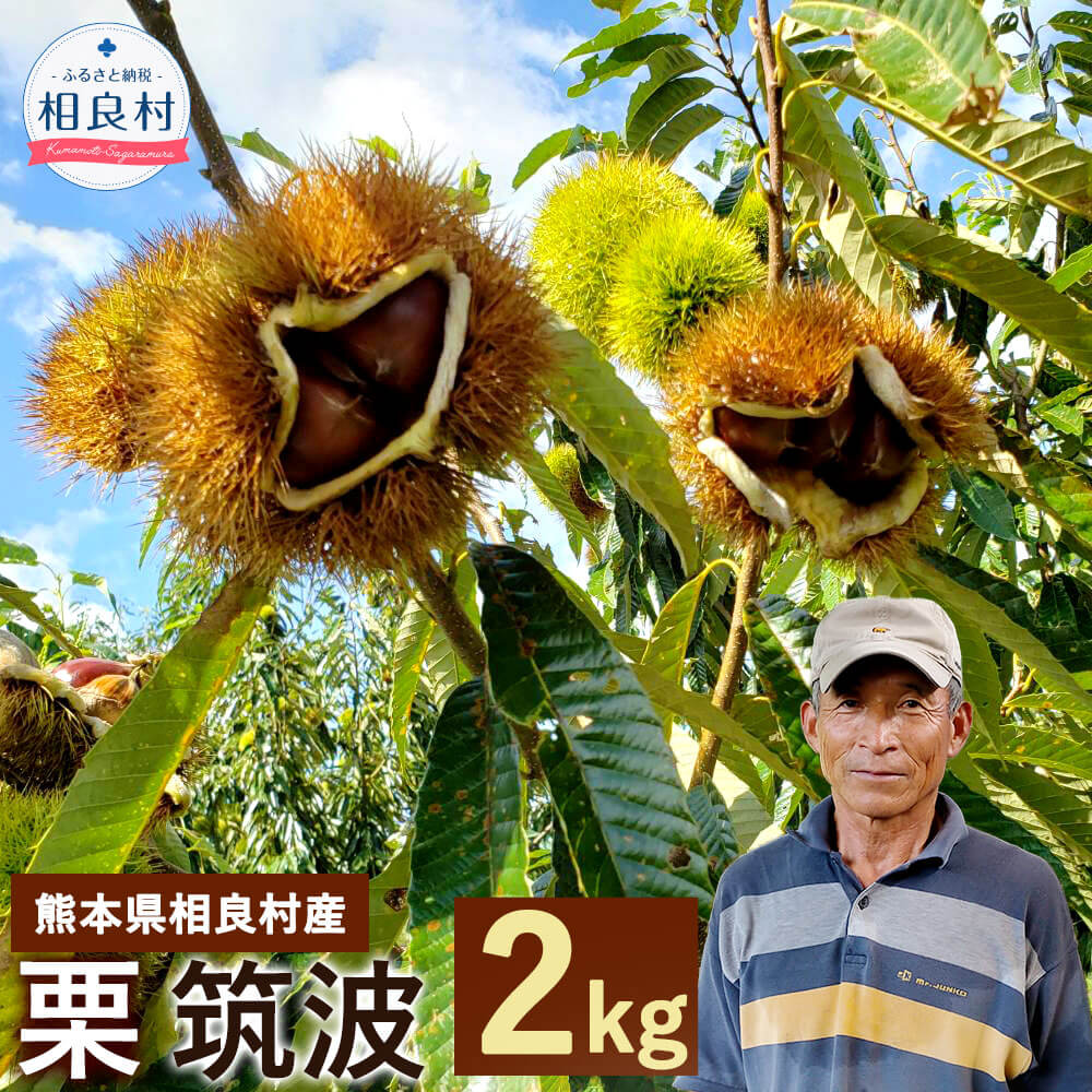 【ふるさと納税】＜予約＞栗 筑波 2kg【2025年9月下旬発送予定】 クリ くり 旬 渋皮煮 九州産 熊本県産 相良村産 果物 フルーツ 予約 冷蔵配送 送料無料