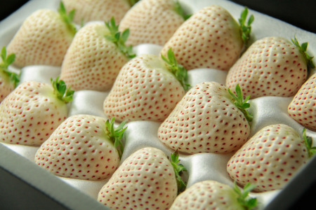 【発送1～4月】天使のいちご　350～400ｇ　白いちご 　【苺】 イチゴ おおきい スイーツ 白い 果物 ふるさと納税 いちご うまい フルーツ 期間限定 人気いちご まるい 甘い いちご 旬 直送