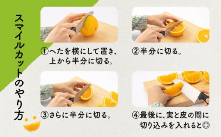 長崎県産スイートスプリング 約10kg【田崎FARM】[OCU001] / 柑橘スイートスプリング柑橘スイートスプリング柑橘スイートスプリング