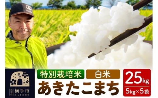 秋田県 横手市 【白米】令和7年産 秋田県産 特別栽培米 あきたこまち 25kg（5kg×5袋）