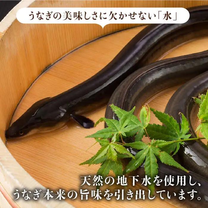ふっくらジューシーのこだわりうなぎ【12回定期便】国産うなぎ蒲焼 6枚セット×12回[FAD016]