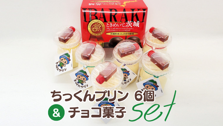 
ちっくんプリン 6個 ＆ チョコ菓子 セット ぷりん プリン チョコ チョコレート おかし おやつ 菓子 [BW079ci]
