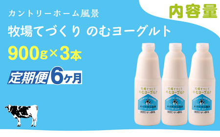 【定期6ヶ月】のむヨーグルト 900g ×3 SKB037