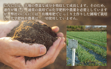 有機にんにく(乾燥）1㎏｜オーガニック 無農薬 国産 愛媛県 西条市