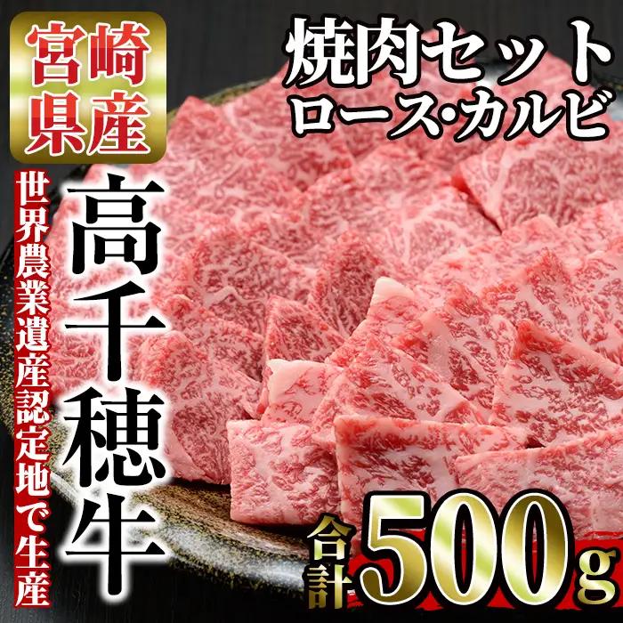 高千穂牛 焼き肉セット(ロース・カルビ各250g)【MT010】【JAみやざき 高千穂牛ミートセンター】