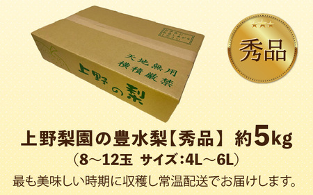 【先行予約】上野梨園の豊水梨 8～12玉入 約5kg  4L～6L【秀品】《数量限定》梨園直送！ / 期間限定 果物 フルーツ 農家直送 シャキシャキ もぎたて 旬 お取り寄せ ※2025年9月上旬よ