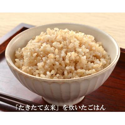 ふるさと納税 登米市 JAS有機栽培【玄米】「たきたて」5kg (2025年産) |  | 01
