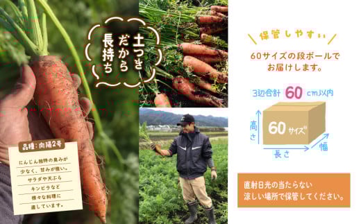 おにぎり坊主の土つき有機にんじん＿0085-010