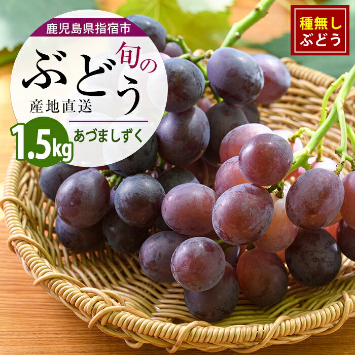 【ふるさと納税】【2026年7月上旬〜発送】＜期間限定＞迫田果樹園のぶどう あづましずく 約1.5kg フルーツ 葡萄 果物 甘い 種なし 指宿産 種無しぶどう【迫田果樹園】