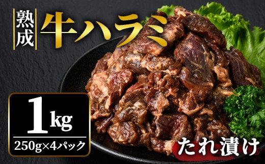 
                  熟成牛ハラミ 1kg (250g×4パック) たれ 味付 小分け 冷凍 焼肉 焼き肉 牛 牛肉 ビーフ ハラミ BBQ 【そうざい男しゃく（株式会社池延）】【ho1468】
                