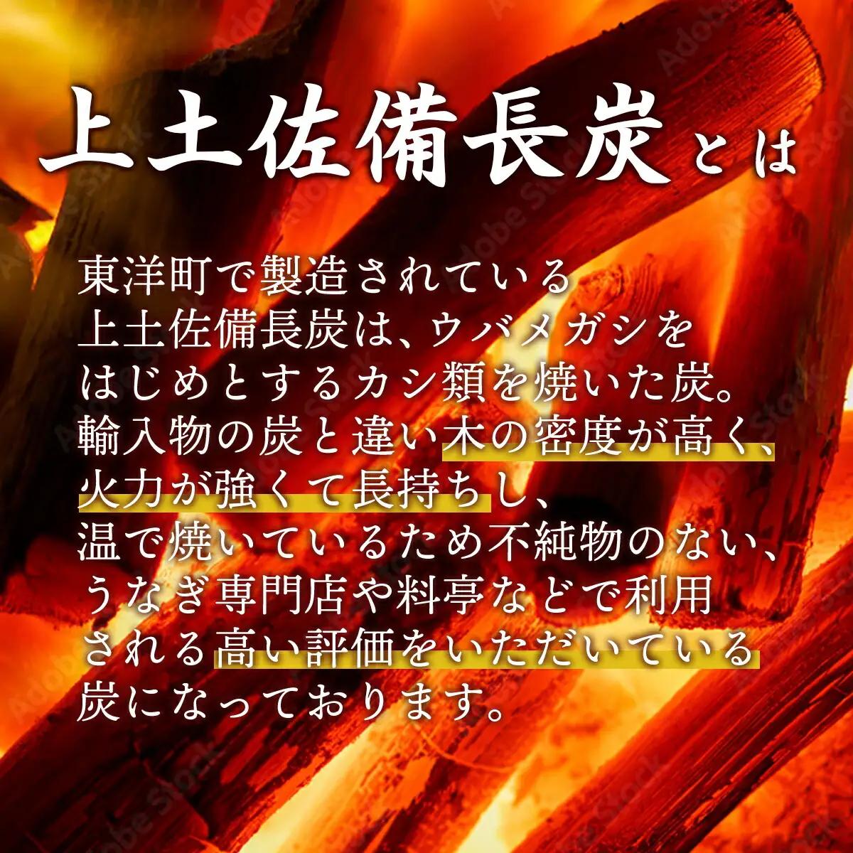 BBQ炭 上土佐備長炭（小サイズ）10kg  S177 [S-170] 【株式会社森海家】