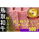 【ふるさと納税】鳥取和牛 最上級A5ランク オレイン55 極上カルビ 焼肉用 （大） 約500g 国産 牛肉 和牛 黒毛和牛 カルビ 焼肉 焼き肉