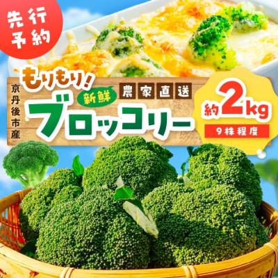 ふるさと納税 京丹後市 【先行予約】もりもり!ブロッコリー約2kg　2026年11月中旬〜順次発送 国産ブロッコリー9株程度