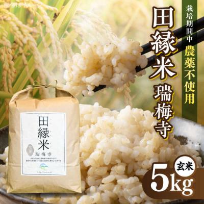 ふるさと納税 糸島市 田縁米(でんえんまい)・瑞梅寺(ずいばいじ) 玄米5kg NPO法人田縁プロジェクト[ATM005]