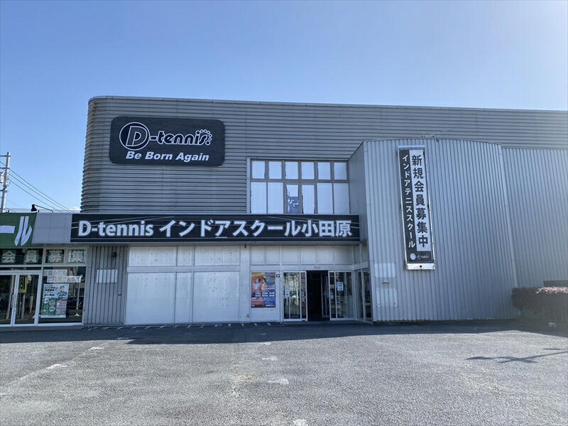 D-テニス小田原　会員限定　プラスワンチケット　１枚　ジュニア【 神奈川県 小田原市 】