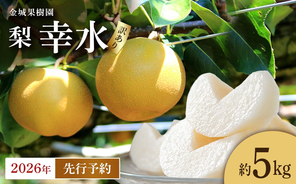
                  【訳あり／2026年先行予約】金城果樹園　梨「幸水」約5kg（10～16玉入）2026年8月中旬～順次発送
                