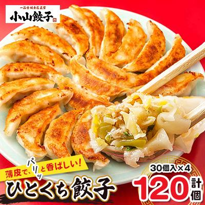ふるさと納税 小山市 冷凍餃子専門店 小山餃子 ひとくち餃子 120個