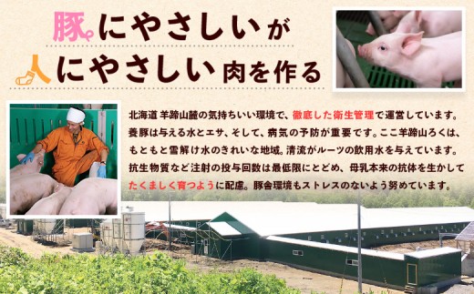 留寿都産　ルスツ羊蹄ぶた　お家で「ルスツ羊蹄ぶた」堪能セット（昆布締めチャーシュー・豚ザンギ【約1.3kg】）