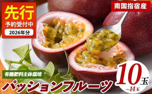 【2026年 発送】パッションフルーツ10玉～14玉(マンゴーの森/IB040-010) 鹿児島 国産 指宿市 トロピカルフルーツ 南国フルーツ 果実 果肉 果物 ビタミン 農家直送  パッションフルーツ パッションフルーツジュース