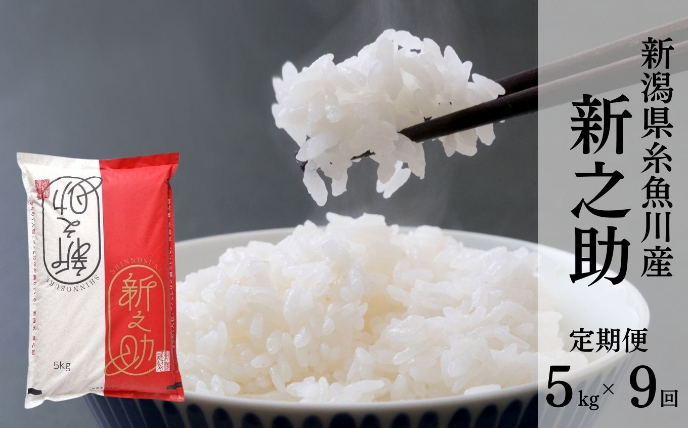 
            令和7年産新米【定期便】新潟県産 新之助 5kg×9回 毎月お届け 全45kg 糸魚川産 白米 2025年産 木島米穀店【米 お米 ご飯 ライス ふるさと納税米 ブランド米 しんのすけ 食品 おすすめ 人気 新潟県 糸魚川市 9か月 9ヵ月 9ヶ月 先行予約】
          